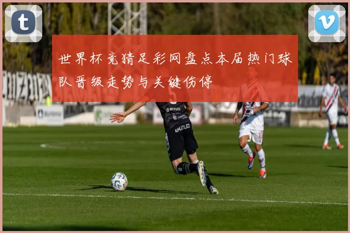 世界杯竞猜足彩网盘点本届热门球队晋级走势与关键伤停